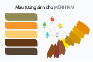 Bảng màu theo phong thủy mệnh Kim, Mộc, Thủy, Hỏa, Thổ chi tiết nhất