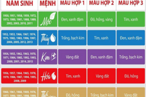 Tìm hiểu nguyên lý và ứng dụng ngũ hành tương sinh tương khắc