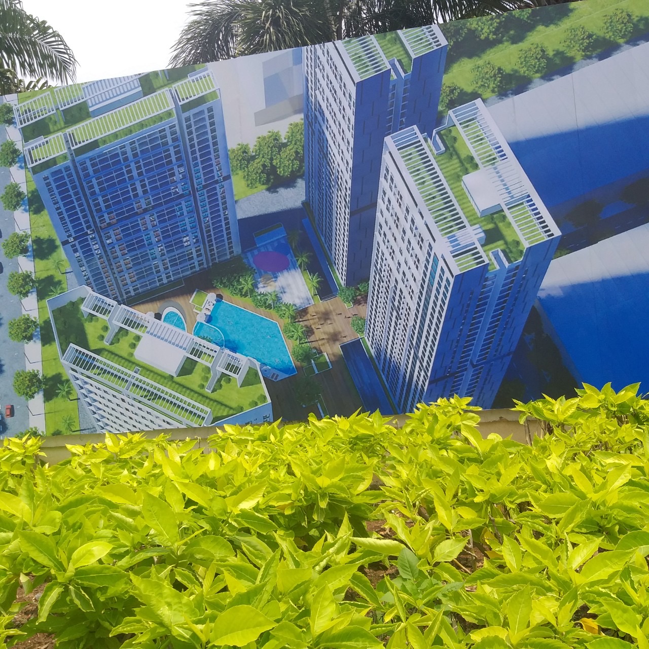 Green Towers Bình Dương