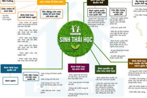 Hệ sinh thái là gì? Những kiến thức cơ bản về hệ sinh thái