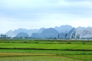 Đất nông nghiệp là gì? Có được xây nhà trên đất nông nghiệp không?