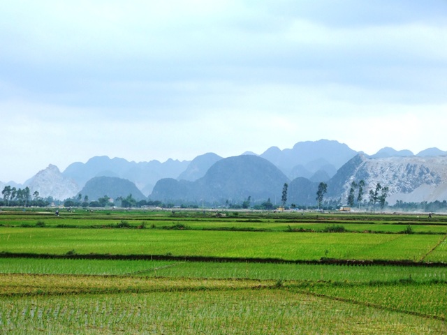 dat-nong-nghiep-la-gi