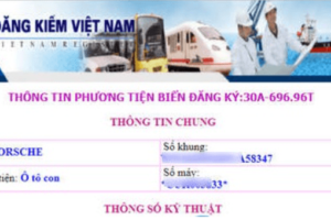 Cách tra cứu biển số xe ô tô, xe máy online cần biết
