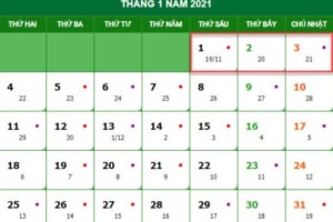 Lịch nghỉ tết Dương lịch tết Nguyên đán Tân Sửu 2021