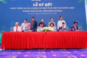 Dự án chung cư nhà ở xã hội Tân Đông Hiệp New Lavida