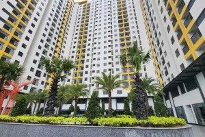 Cho thuê chung cư Tecco Felice Homes Thuận An Bình Dương 2025